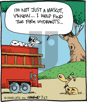 Reality Check on Monday July 27, 2009 Comic Strip