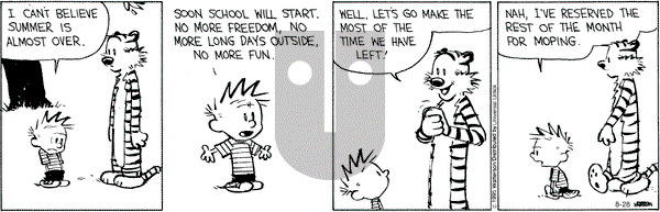 Calvin and Hobbes on Friday August 28, 2015 Comic Strip