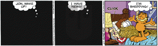 Garfield on Monday January 17, 2005 Comic Strip