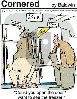 Cornered on Saturday July 8, 2000 Comic Strip