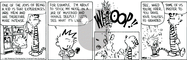 Calvin and Hobbes - Thursday July 16, 1992 Comic Strip