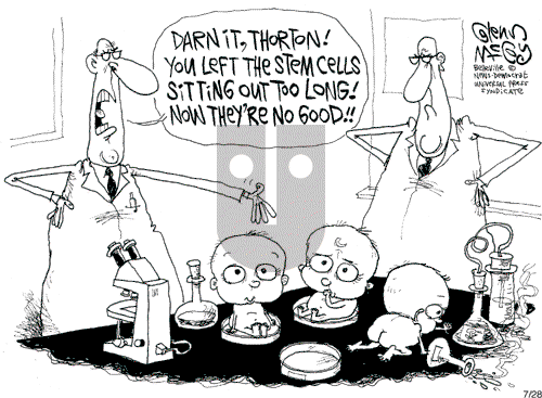 Glenn McCoy on Friday July 28, 2006 Comic Strip
