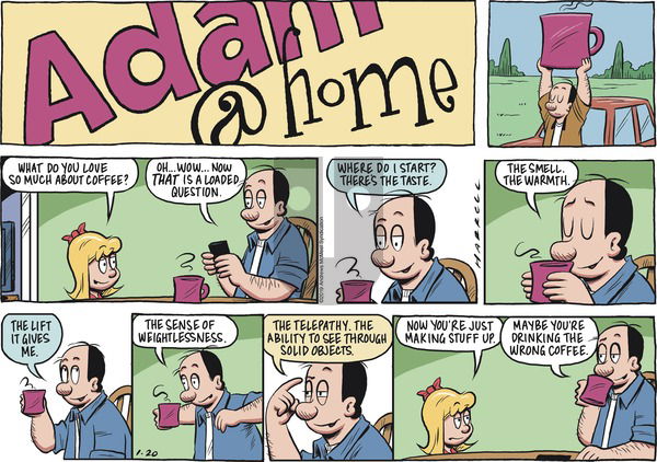 Adam@Home on Sunday January 20, 2019 Comic Strip