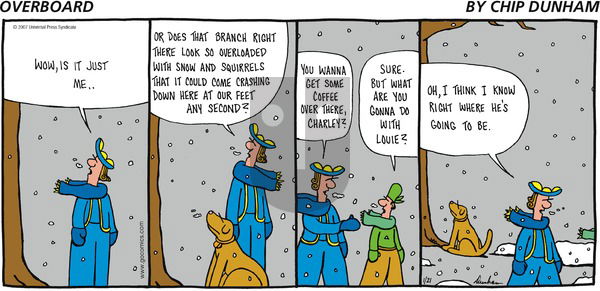 Overboard on Sunday January 21, 2007 Comic Strip