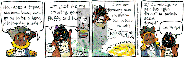 Breaking Cat News on Wednesday July 3, 2019 Comic Strip