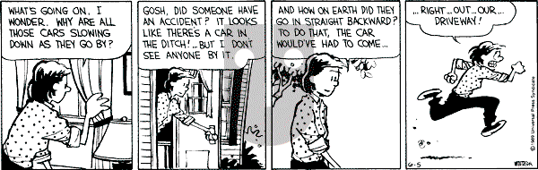 Calvin and Hobbes - Monday June 5, 1989 Comic Strip