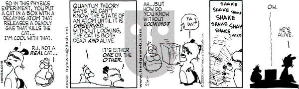 Over the Hedge on Wednesday January 3, 2001 Comic Strip