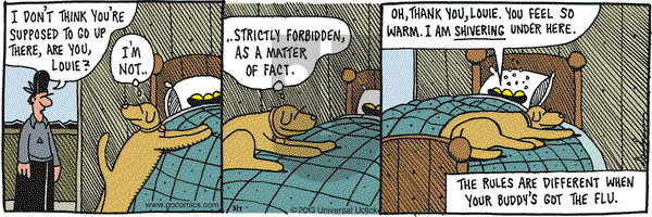 Overboard on Thursday March 7, 2013 Comic Strip