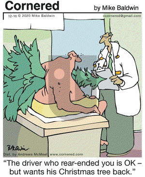 Cornered on Wednesday December 16, 2020 Comic Strip