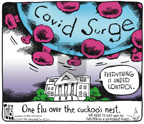 Tom Toles on Friday June 26, 2020 Comic Strip