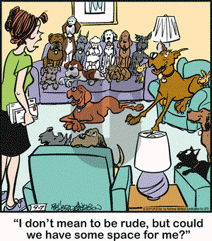 Marmaduke on Saturday September 7, 2019 Comic Strip