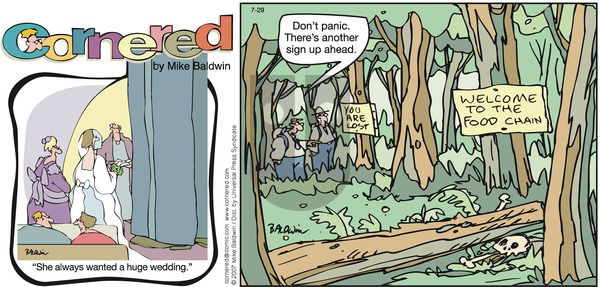 Cornered on Sunday July 29, 2007 Comic Strip