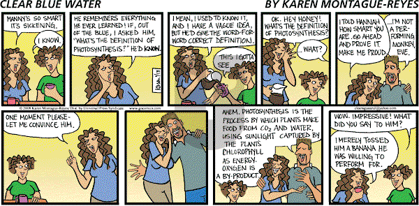 Clear Blue Water on Sunday January 13, 2008 Comic Strip