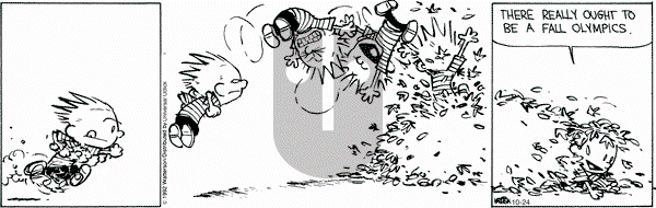 Calvin and Hobbes - Wednesday October 24, 2012 Comic Strip