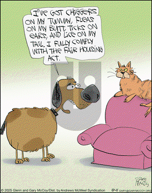 The Flying McCoys on Thursday May 8, 2025 Comic Strip