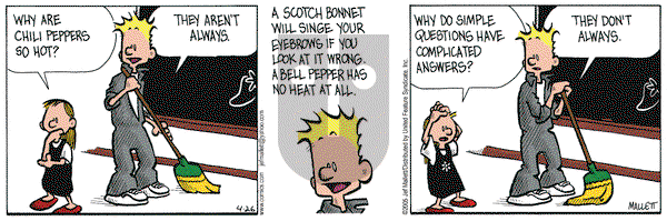Frazz - Tuesday April 26, 2005 Comic Strip