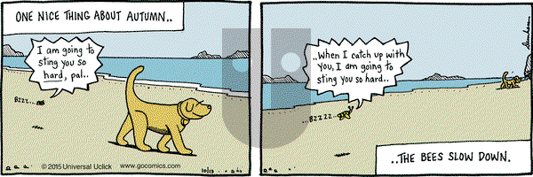 Overboard on Tuesday October 13, 2015 Comic Strip