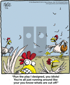 In the Bleachers on Saturday November 17, 2012 Comic Strip