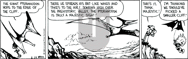 Calvin and Hobbes - Thursday June 29, 1989 Comic Strip
