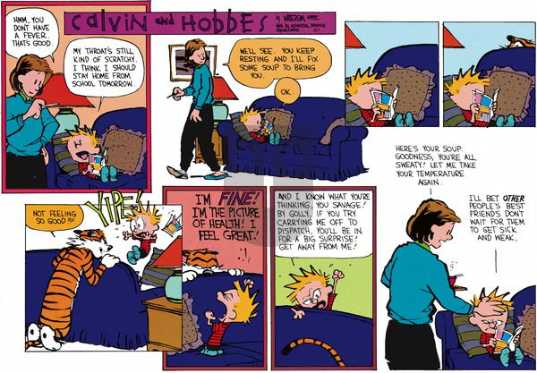 Calvin and Hobbes on Sunday October 18, 1992 Comic Strip