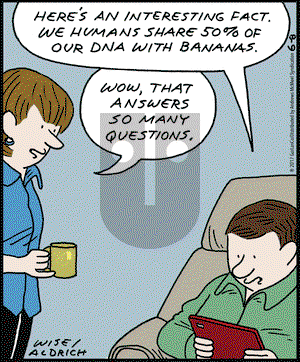 Real Life Adventures on Thursday June 8, 2017 Comic Strip