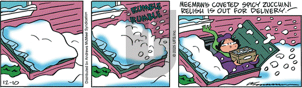 Rose is Rose on Wednesday December 10, 2025 Comic Strip