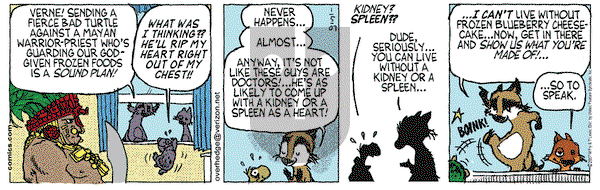 Over the Hedge on Friday January 5, 2007 Comic Strip