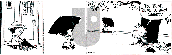 Calvin and Hobbes - Wednesday July 12, 1995 Comic Strip