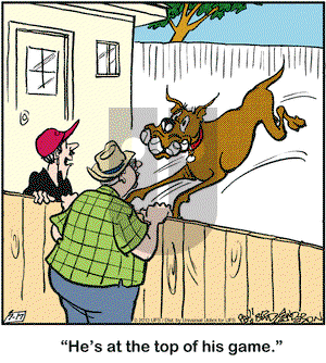 Marmaduke on Wednesday July 17, 2013 Comic Strip