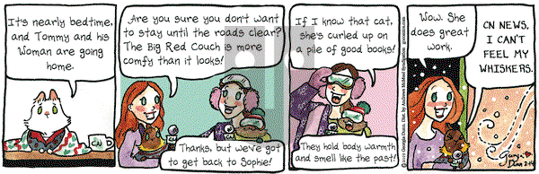 Breaking Cat News on Thursday February 14, 2019 Comic Strip