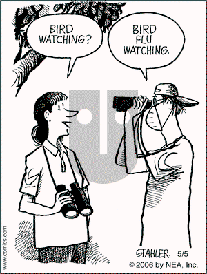 Moderately Confused on Friday May 5, 2006 Comic Strip