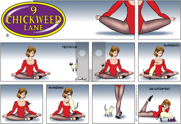 9 Chickweed Lane on Sunday February 7, 2010 Comic Strip