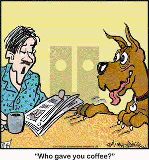 Marmaduke on Saturday December 8, 2018 Comic Strip