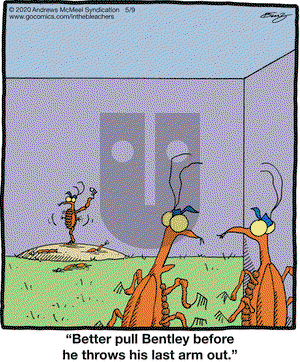 In the Bleachers on Saturday May 9, 2020 Comic Strip