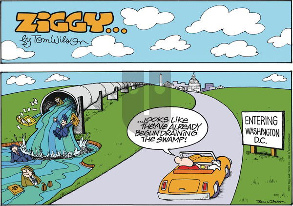 Ziggy on Sunday March 19, 2017 Comic Strip