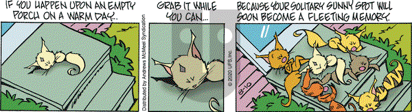 Rose is Rose on Monday August 10, 2020 Comic Strip