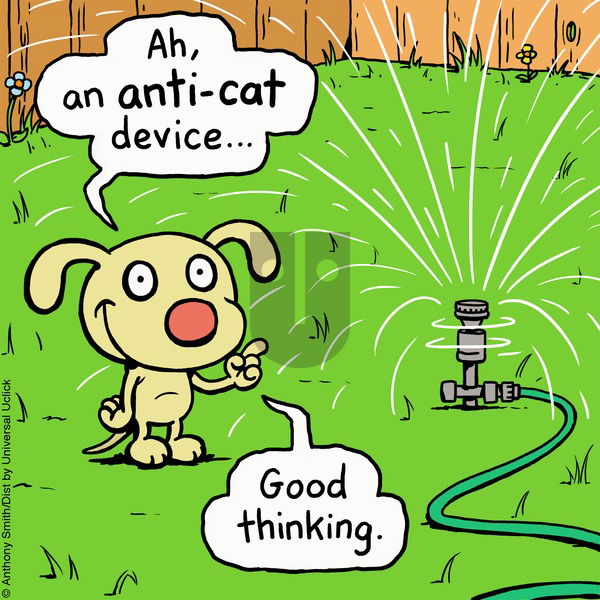 Cattitude — Doggonit - Sunday April 25, 2021 Comic Strip