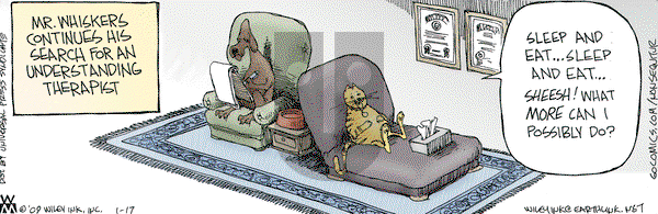 Non Sequitur on Saturday January 17, 2009 Comic Strip