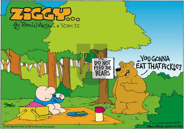 Ziggy on Sunday June 29, 2003 Comic Strip