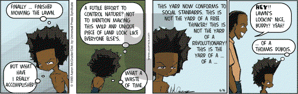 The Boondocks on Friday June 16, 2006 Comic Strip