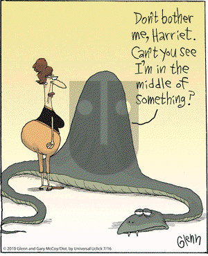 The Flying McCoys on Friday July 16, 2010 Comic Strip