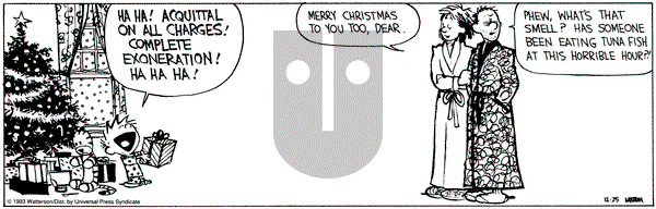 Calvin and Hobbes on Saturday December 25, 1993 Comic Strip