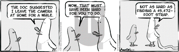 W.T. Duck on Saturday November 25, 2023 Comic Strip