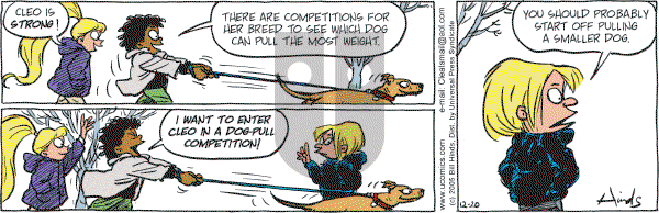 Cleats - Wednesday November 29, 2023 Comic Strip