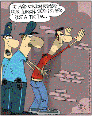 The Flying McCoys on Tuesday July 2, 2019 Comic Strip