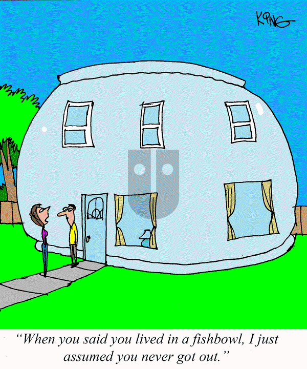 Jerry King Comics on Wednesday May 28, 2025 Comic Strip
