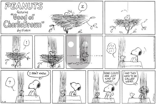 Peanuts on Sunday September 28, 1986 Comic Strip