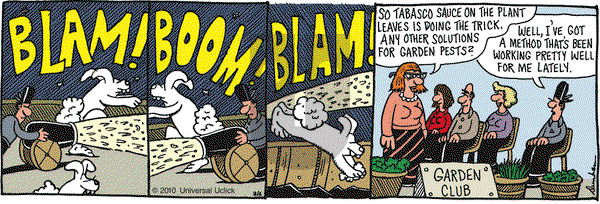 Overboard - Friday August 6, 2010 Comic Strip