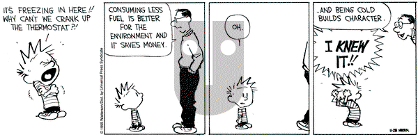 Calvin and Hobbes on Tuesday November 28, 1995 Comic Strip