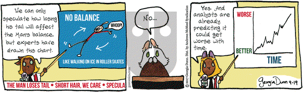 Breaking Cat News on Tuesday September 19, 2017 Comic Strip